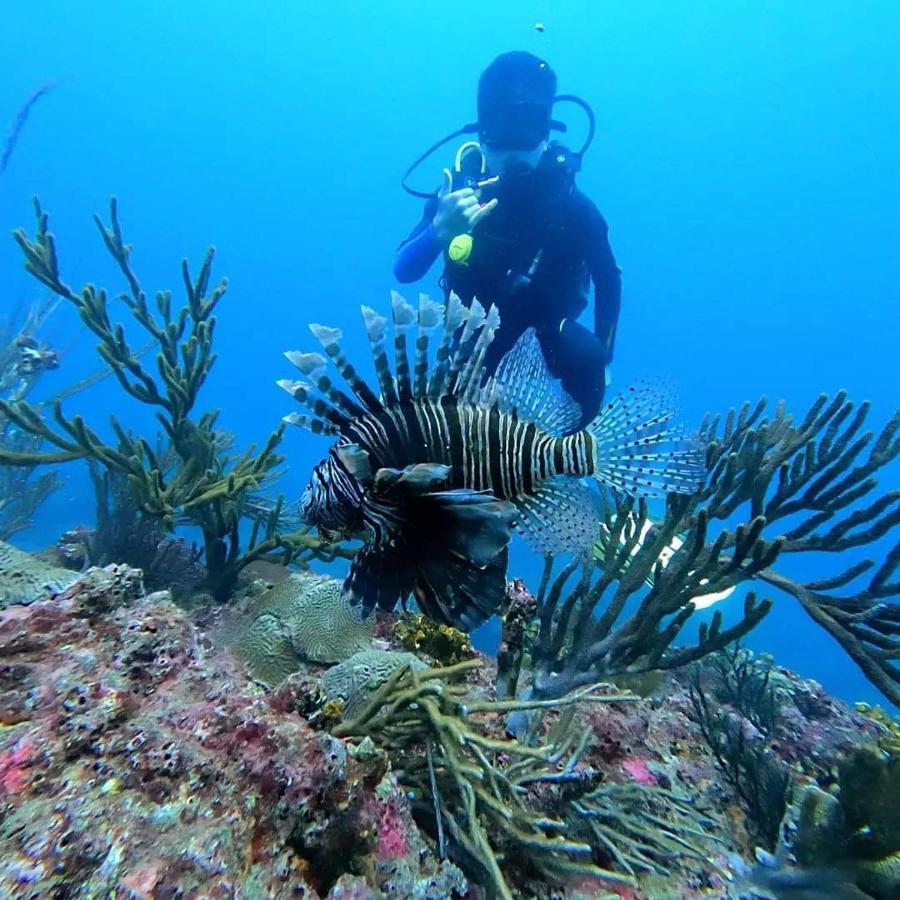 Hotel Taganga Dive Santa Marta Eksteriør billede